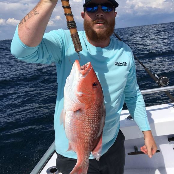 Meet your Posher, Adam - Picture 1 of 1